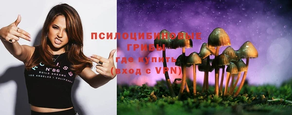 бошки Алексеевка