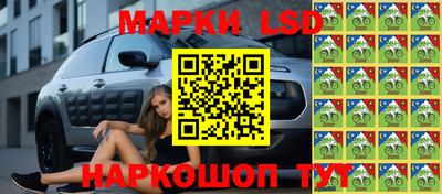 мяу мяу мука Аргун