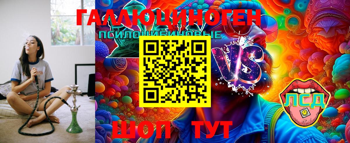 Псилоцибиновые грибы Psilocybe Биробиджан