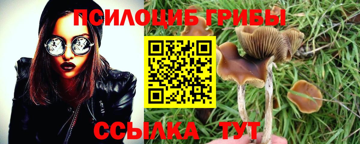 Псилоцибиновые грибы MAGIC MUSHROOMS Биробиджан