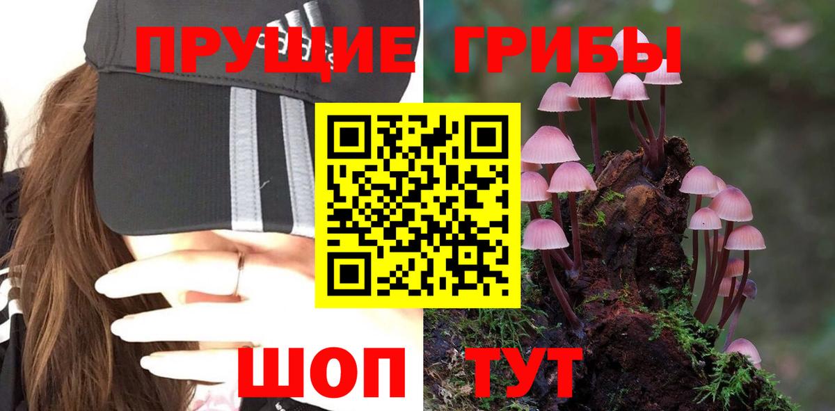Биробиджан  Галлюциногенные грибы Magic Shrooms  Галлюциногенные грибы Magic Shrooms  Вход с VPN 