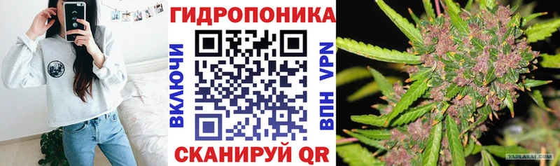 Бошки марихуана марихуана  что такое наркотик  Биробиджан 